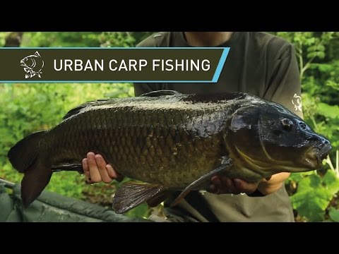 URBAN CARP FISHING on a London Park Lake with Alfie Russell - Nash 2014 Carp Fishing DVD Movie