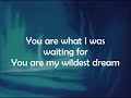 Lyrics So This Is Love French Version English Translation From Disney S Cinderella 1950