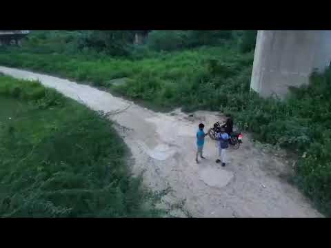 Lucknow Gomti aqueduct #trading #wildlife #tiger #nature #youtubevideo 