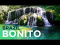 BONITO, BRAZIL: Travel Guide to Waterfalls, Parrots, BLUE CAVE & BEST JUNGLE