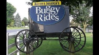 preview picture of video 'Aaron & Jessica's Buggy Rides'