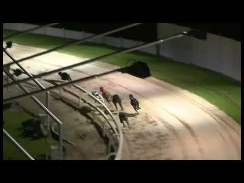 King Turbo - Coral Winter Derby Final