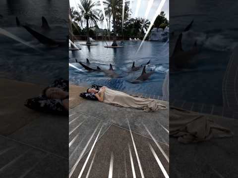 Is it a reality or a dream?