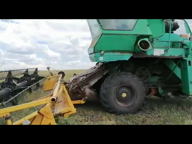 Азнакай игенчеләре уракка төште