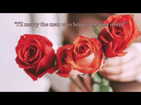 Becky Hobbs -The Rose and The Nightingale