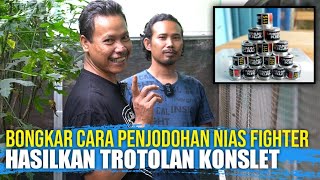 Download lagu peternak MURAI NIAS FIGHTER mp3