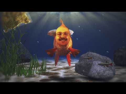 Video thumbnail for Wo sind meine Fische