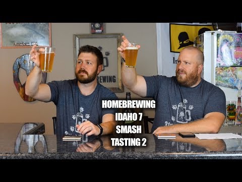Homebrewing Small Batch | Idaho 7 Smash 2-Row All-Grain BIAB Tasting 2