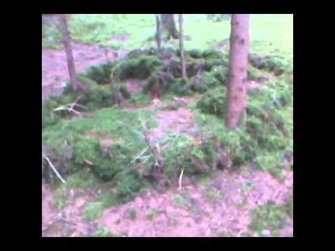 Initiationszeichen Berngau