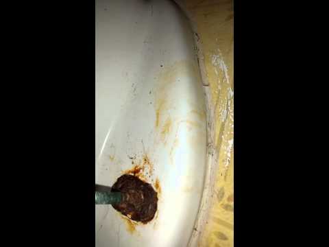 Ameripartment Gardens 120 Infinger