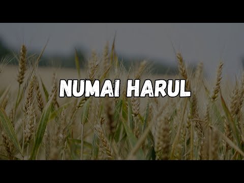 Numai Harul - Muzica Crestina