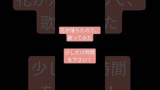 花が落ちたので、/一二三様 #shorts #アカペラ #歌ってみた