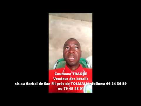 Bergerie Nafadji DABO Pub