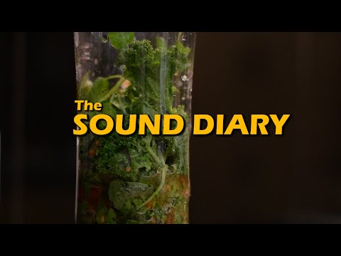 A Sound Diary - Film Research