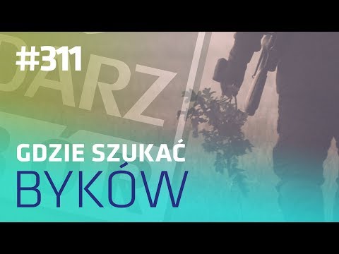 Darz Bór odc 311 - Gdzie szukać byków