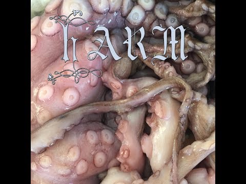 Io Echo - "Harm" (Official Video)