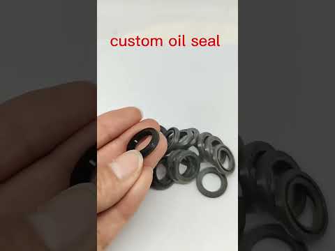 VG Type Single Lip Springles Oil Seal