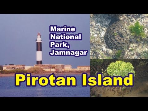 Pirotan Island - Marine National Park Jamnagar
