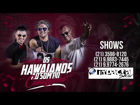 Os Hawaianos - Ao Som do Cavaquinho ( WEB CLIPE OFICIAL ) Funk Sp Divulga