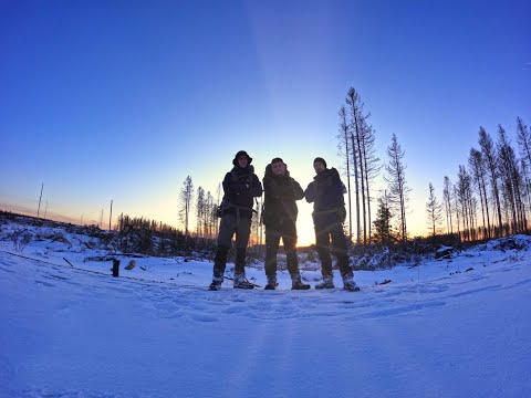 Harztour im Winter - 46 KM - Tag 1