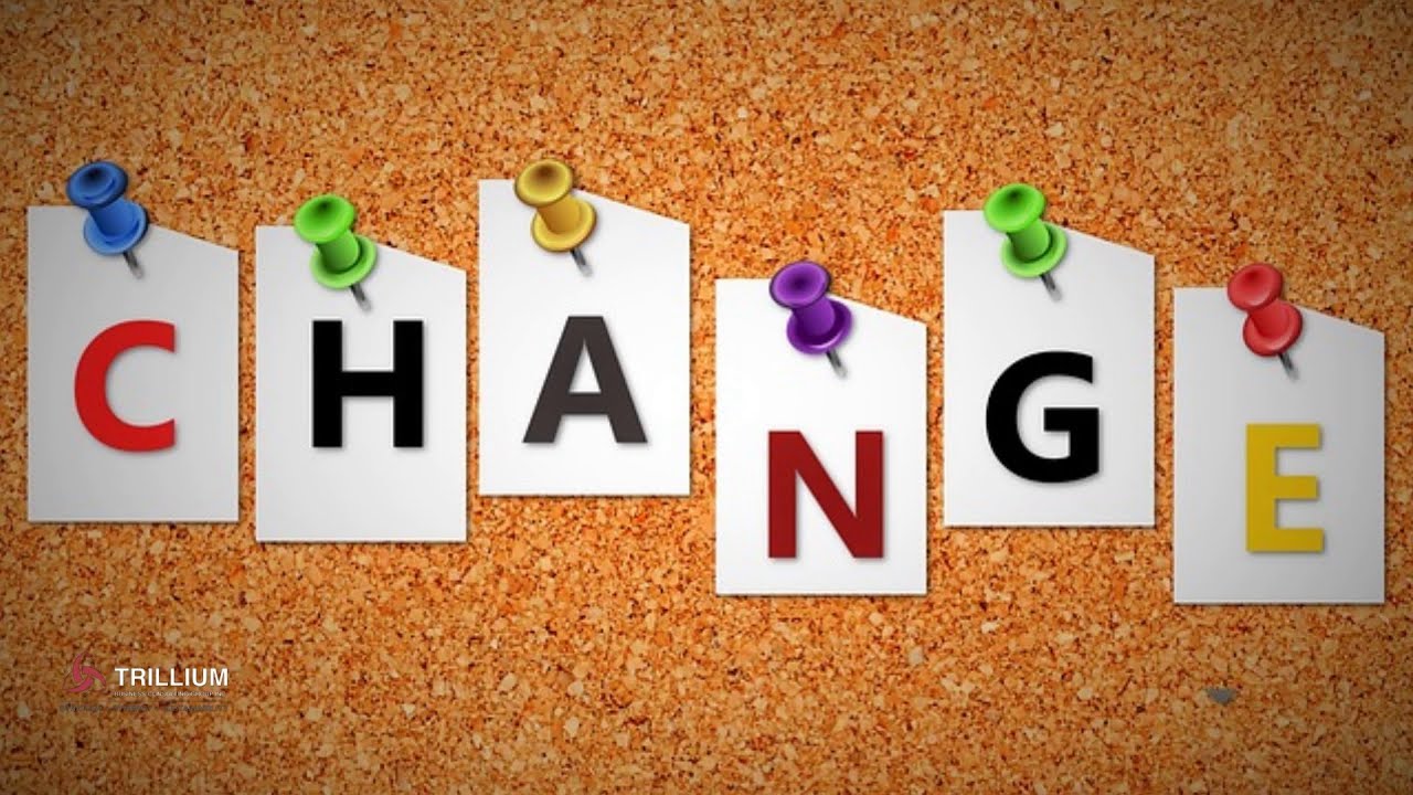 Mastering Change: The Four Principles of Successful Transformation