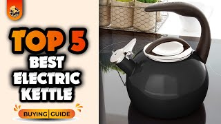 Top 5 Best Hot Water Electric Kettles Under $500!