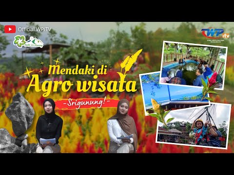 Berkunjung ke Agrowisata Sri Gunung Batang: Wisata Alam yang Memukau!