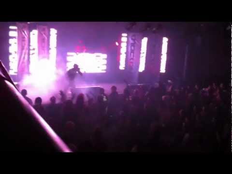 Kid Finley - Sydney - KNOCKOUT