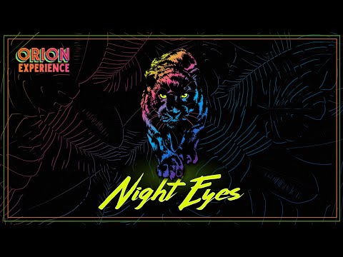 Night Eyes ✨ The Orion Experience