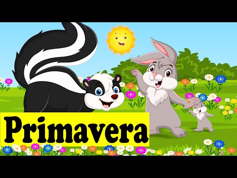 É a Primavera Que Está a Chegar | Música Infantil - Prof. Idalécio