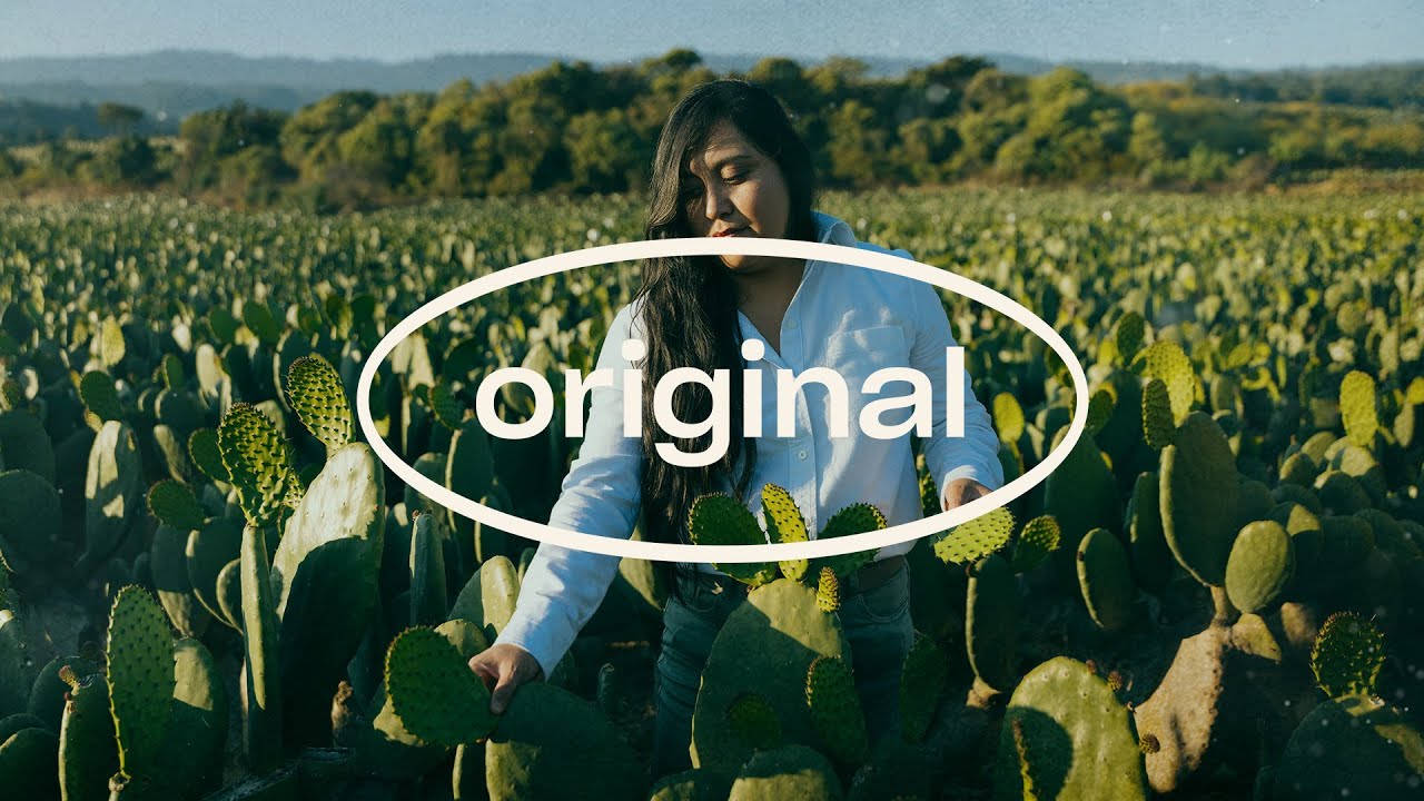 Video preview poster