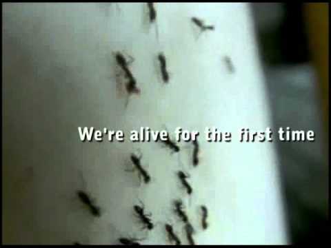 Videoclip de Lives — Modest Mouse
