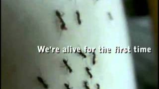 Modest Mouse- &#39;Lives&#39;
