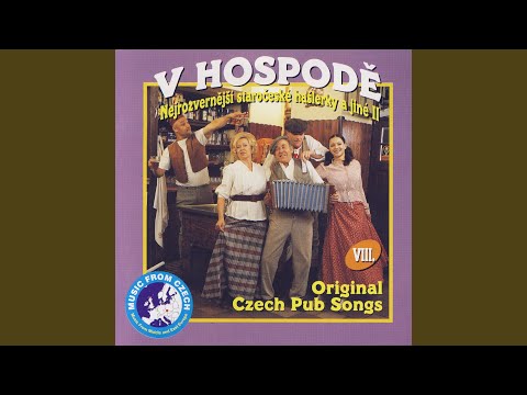 Mym Domovem Ztichla Je Putyka (My Home Is Pub)