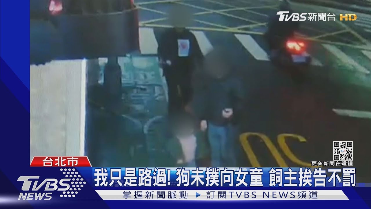 牽繩遛狗遭控嚇童!飼主喊冤辯路過 法官裁不罰:狗未撲人