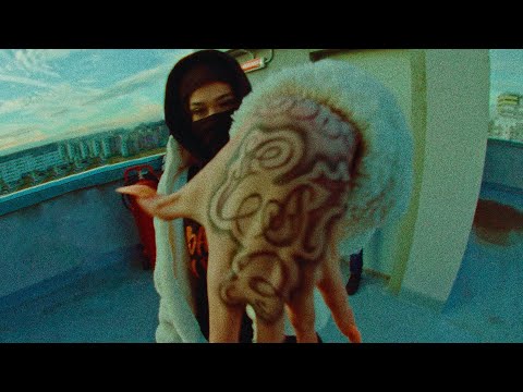 Solomon - TAVA (Official Video)