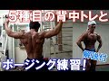 【筋トレ】ボディビル大会5週間前の背中のトレーニング&ポージング練習【解説付き】