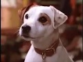 Wishbone Intro