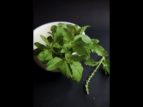 Rahul Voive sampl...