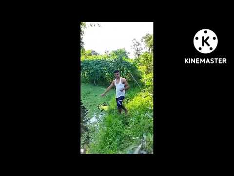 nd blog n music//fishingvedio of assam// assam local vedio