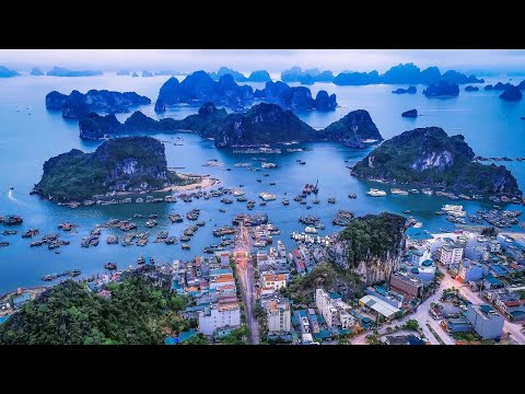 Thể hiện bởi Phương Thảo