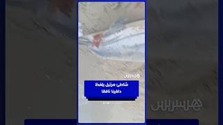 شاطئ مرتيل يلفظ  دلفينا نافقا thumbnail