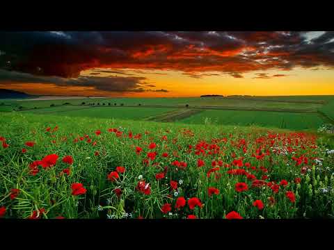 Ali Zafar - Sun Re Sajaniya