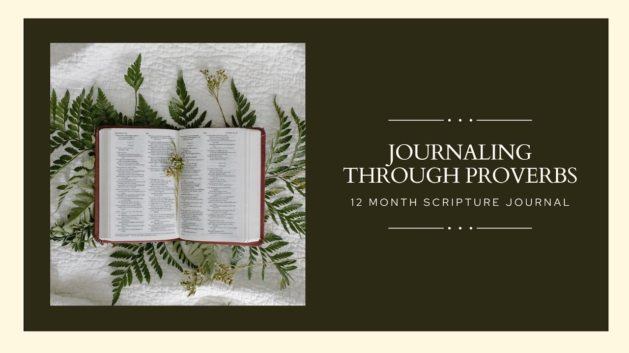 Try This Proverbs Bible Reading Plan + new journal!