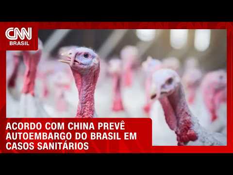 Acordo com China prevê autoembargo do Brasil em caso de Newcastle, diz ABPA | CNN AGRO NEWS