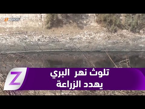 فيديو | تلوث نهر "البري" يهدد الزراعة والثروة الحيوانية في قضاء المدحتية في #بابل