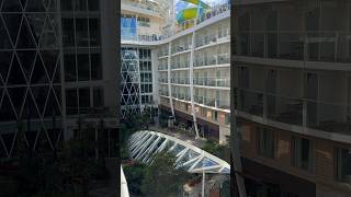 Central Park balcony view on Allure of the Seas! #royalcaribbean #allureoftheseas #cruiseship
