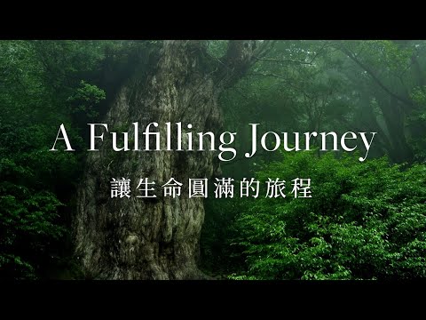 [屋久島 | Yakushima] A Fulfilling Journey | 讓生命圓滿的旅程 [Commercial] [4K]