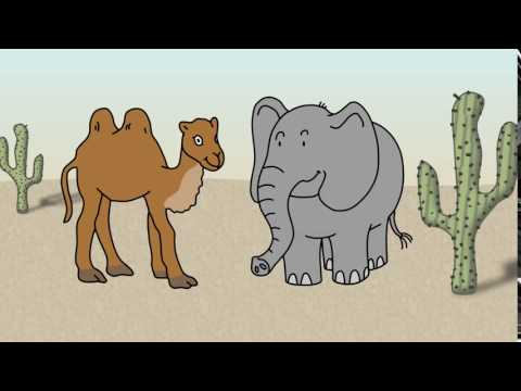 Elefant und Kamel