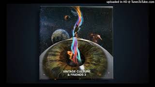 Vintage Culture, Meca - Colour of My Heart (Extended Mix)